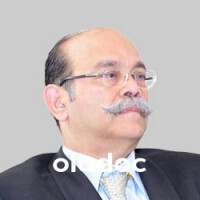 Prof. Dr.Badar S. Dhanani