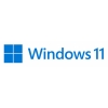 Microsoft windows 11 professional 64bit dvd oem fqc-10538