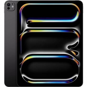 Apple 13-inch ipad pro wifi 256gb with standard glass - space black