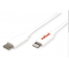 Cavo usb 2.0 to apple lightning 8pin 1mt roline