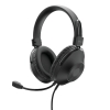 Cuffie con microfono trust hs-250 usb