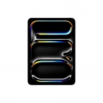 Apple 11-inch ipad pro wi-fi + cellular 256gb with standard glass space black