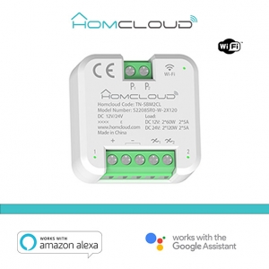 Modulo pulsante rele' wifi 12/24v 2ch homcloud