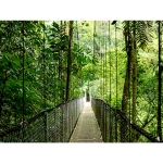 Hp nb elitebook 6 g1i 14 ultra 7-265u vpro 16gb 512gb 14 win 11 pro 3yw