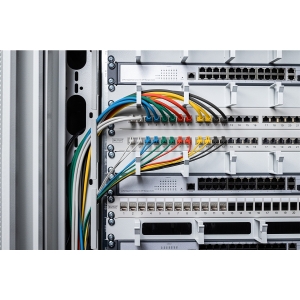 Cavo rete cat 6 u-utp rame lszh slim 0.3 m, rosso
