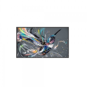 Monitor philips 55" led 55bdl3511q/00 3840x1080 4k mm 9ms 2xhdmi vesa no-base *offerta fino al 29/04/22*
