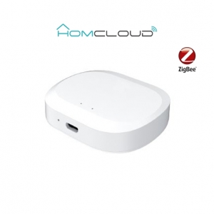 Centralina intelligente hub - zigbee+bluetooth