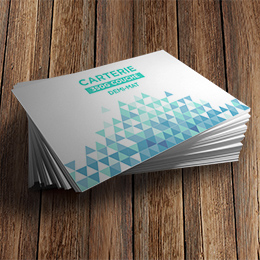 350g support cartes visite