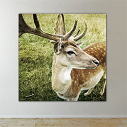 Tableau photo fine art