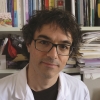 Fabrice André