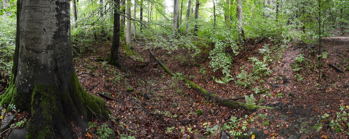 Kolvín, Priory ‘Baštiny’