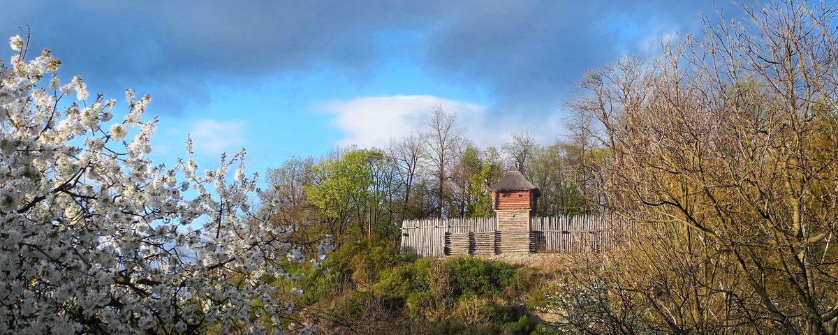 Netolice, Raně středověké hradiště, archeologický park