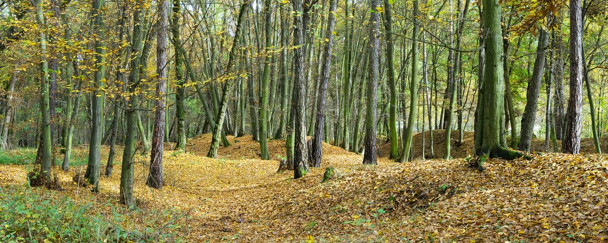 Davle, Medieval monastery ‘Ostrov’, monastery town ‘Sekanka’ and old hollow ways