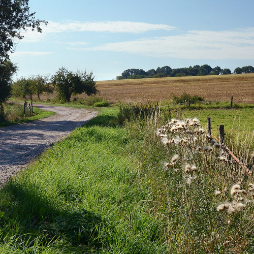 View on the banks from a unpaved road. 