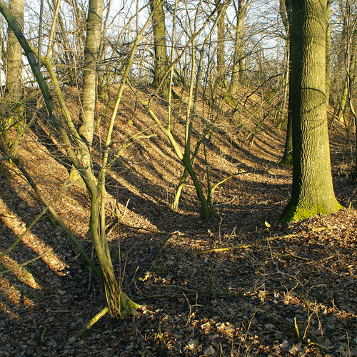 Bank on southern side of the area.