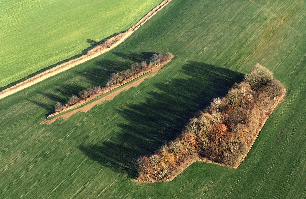 Markvartice u Sobotky Archeologický atlas Čech