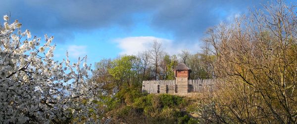 Netolice, Raně středověké hradiště, archeologický park