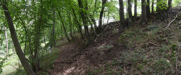 Nevězice, Prehistoric hillfort – oppidum