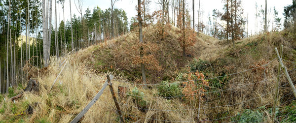 Olešná u Radnic, Prehistoric hillfort ‘Radná’ 