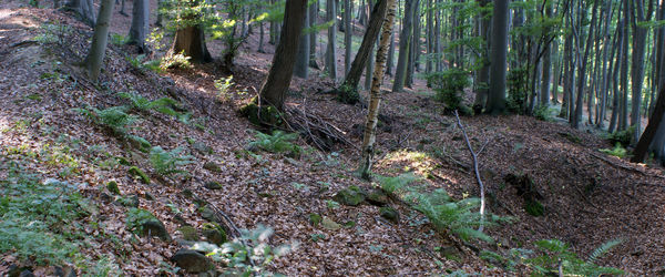 Oparno, Prehistoric and medieval stome quarry 