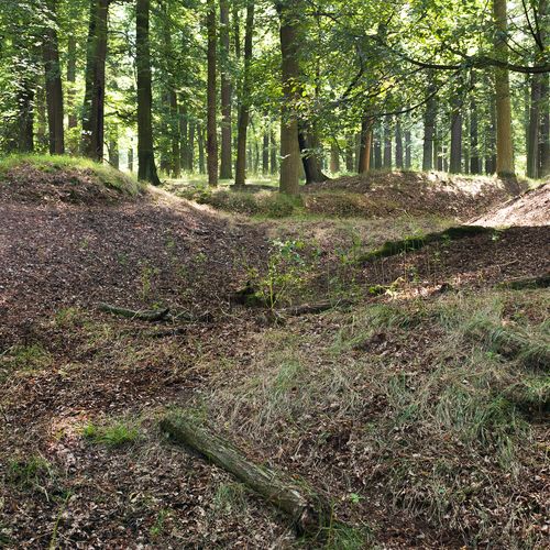 Spoil heaps in the chateau park. 