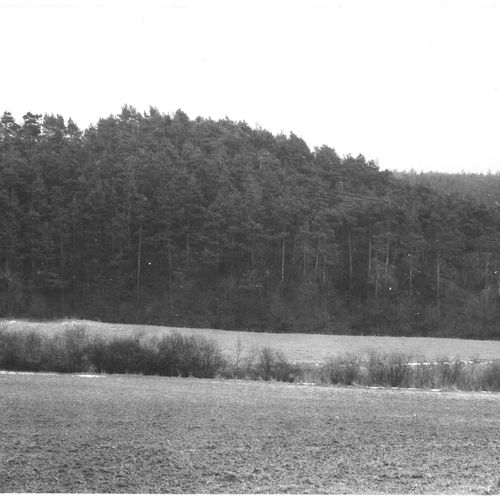 View of the hillfort across Výmola rivulet. 