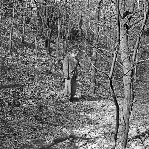 J. Kudrnáč during survey of the hillfort's moat. 