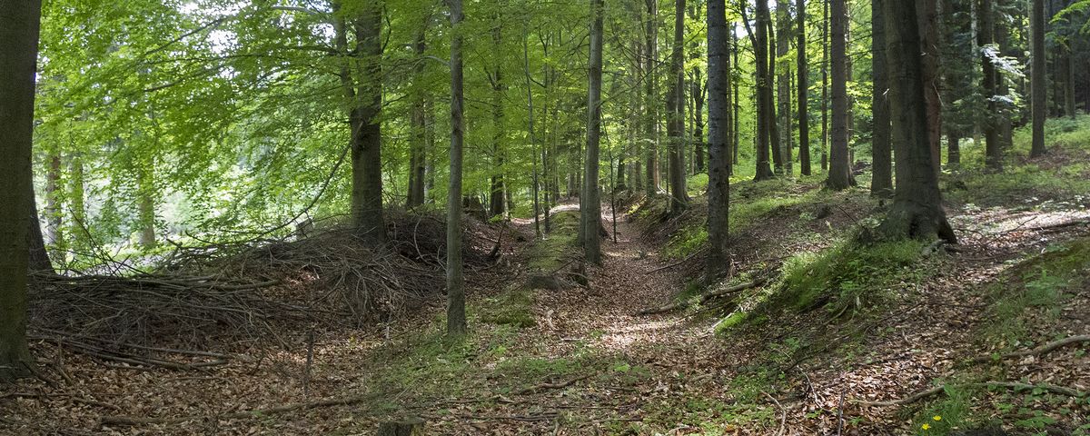 Prachatice, Zlatá stezka