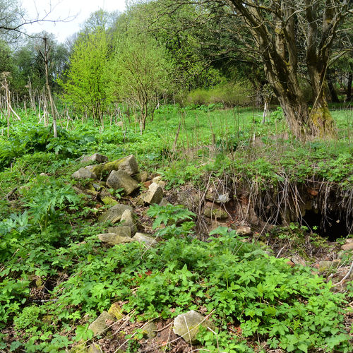 Remains of a house (Lauterbach). 