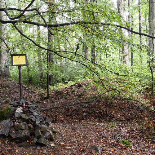 Information board, ruins of the church in the background. 