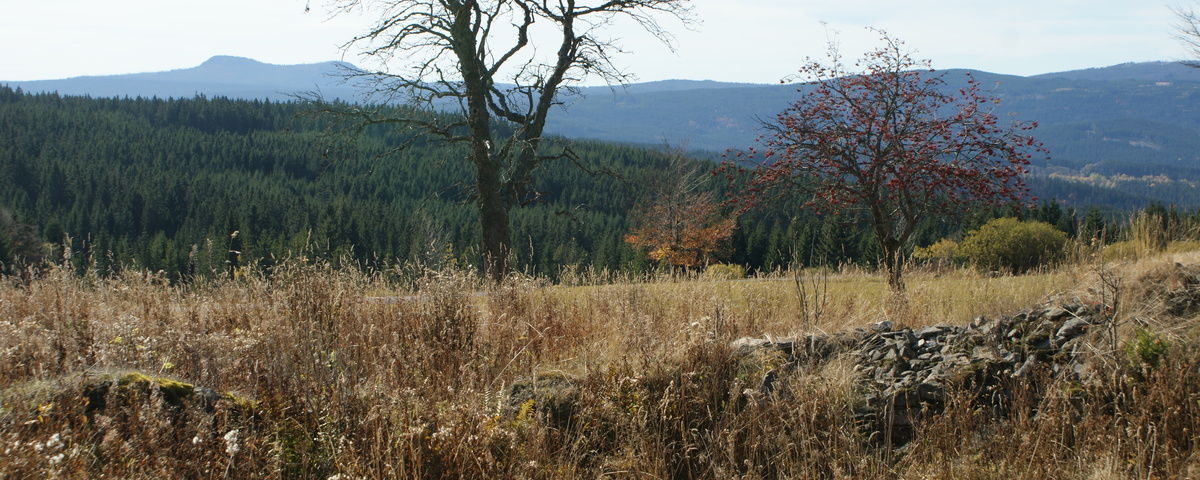 Zhůří u Rejštejna, Zaniklá novověká ves Haidl s částí Zlaté stezky