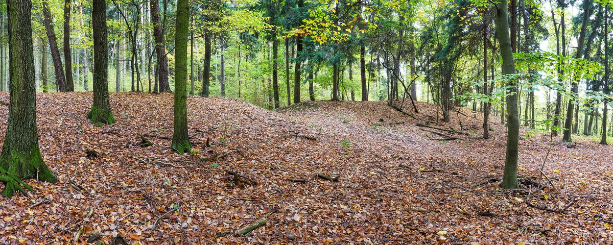 Březí u Říčan, Pravěké hradiště