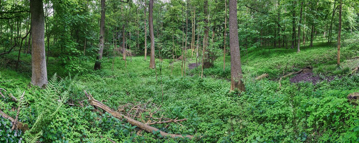 Vyžlovka, Zaniklá středověká vesnice