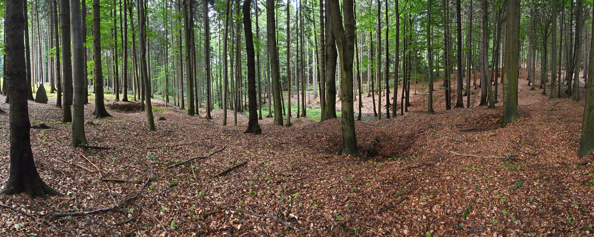 Zbyslavec, Partyzánské zemljanky