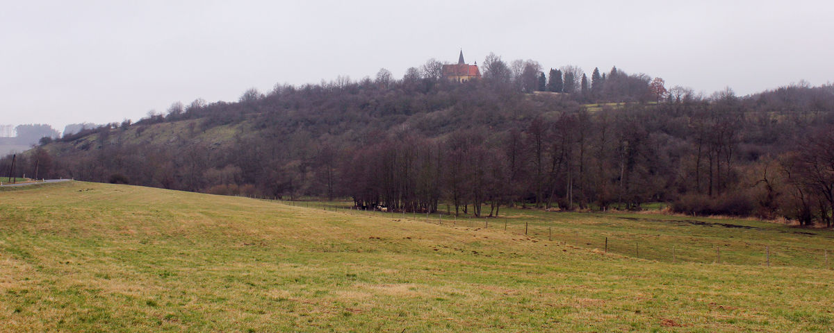 Tasnovice, Early Medieval hillfort 