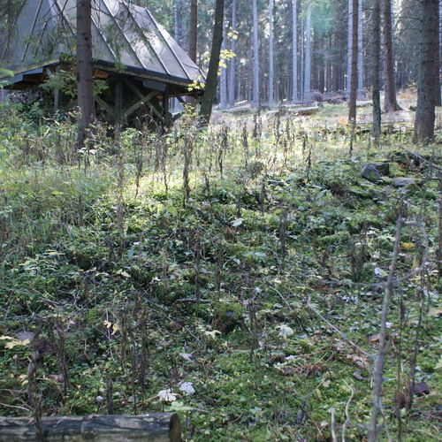 Area of the glassworks with remains of the enclosure wall.