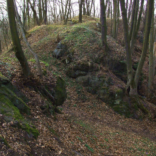 Castle core, view from the second bailey. 