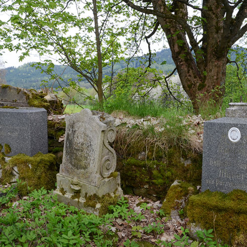 Hřbitov u kostela sv. Anny.