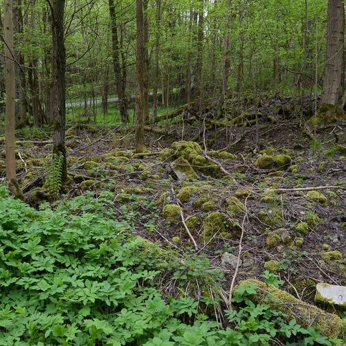 Remains of the former fortified manor. 