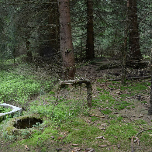 Remains of the prison camp are less well preserved than those of the factory: mouth of the channel shaft (front left), a barrack's concrete foundations in the background.