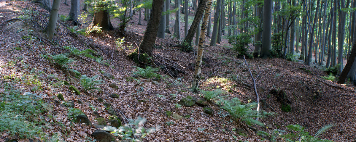 Oparno, Prehistoric and medieval stome quarry