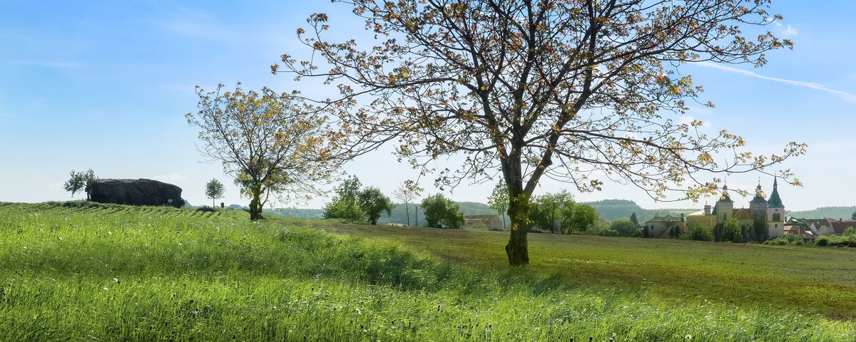 Kouřim, Raně středověká sídelní aglomerace a středověké město