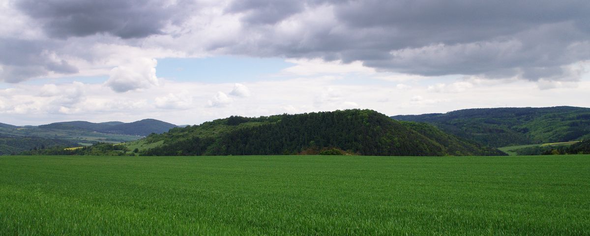 Stradonice u Nižboru, Pravěké hradiště – oppidum doby laténské