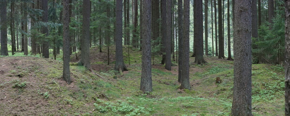 Vitín, Raně středověké mohylové pohřebiště