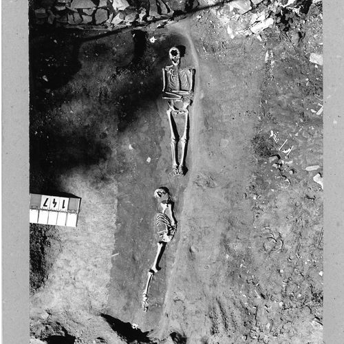 Graves found in the trench No. 12 in the main nave of the monastery church. 