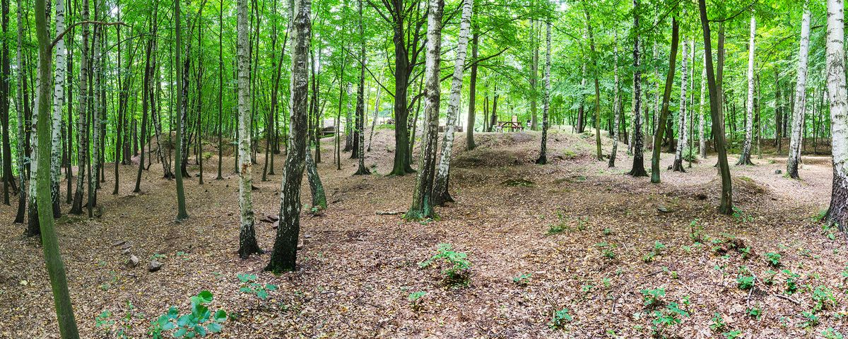 Chlístovice, Středověký hrad Sion s pozůstatky obléhacího tábora