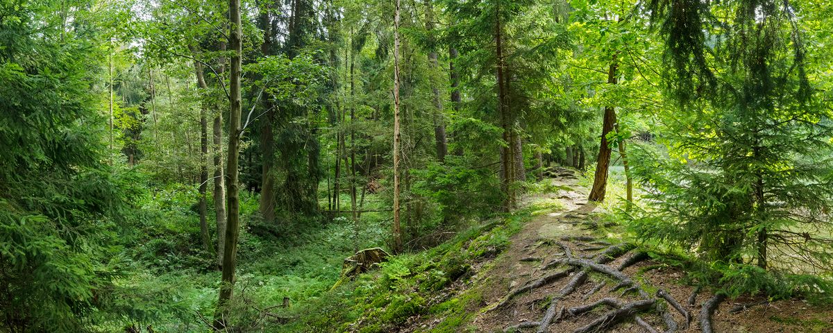 Drahoňův Újezd, Zaniklá středověká a časně novověká ves Rovný