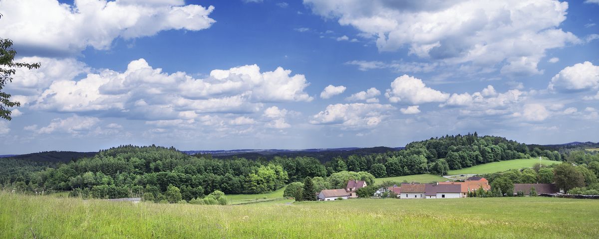 Třísov, Pravěké hradiště – oppidum