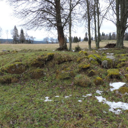 Remains of the former homestead. 