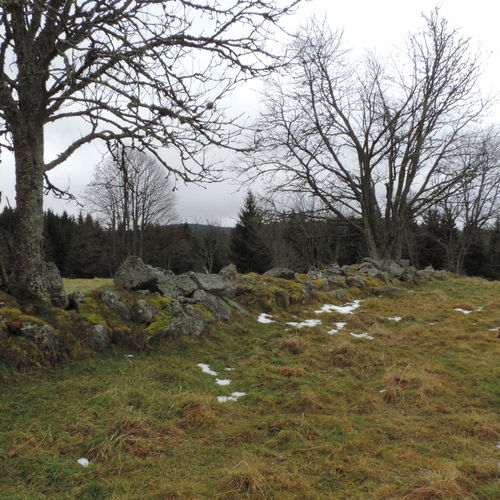 View of a boundary lane. 